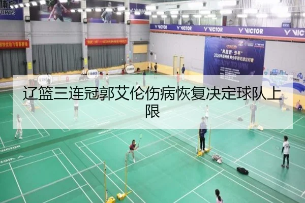 辽篮三连冠郭艾伦伤病恢复决定球队上限